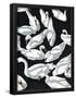 Essential Black