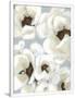 Gramercy White