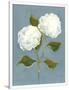 Gramercy White