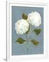Gramercy White