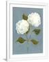 Gramercy White