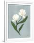 Gramercy White