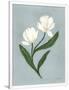 Gramercy White