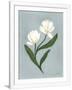Gramercy White