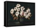 Canvas Black
