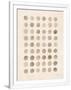 Gramercy White