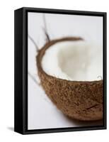 Half a Coconut-Frank Tschakert-Framed Stretched Canvas