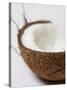 Half a Coconut-Frank Tschakert-Stretched Canvas