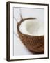 Half a Coconut-Frank Tschakert-Framed Photographic Print