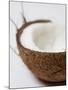 Half a Coconut-Frank Tschakert-Mounted Photographic Print