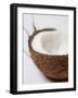 Half a Coconut-Frank Tschakert-Framed Photographic Print