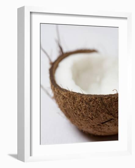 Half a Coconut-Frank Tschakert-Framed Photographic Print
