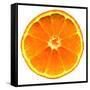Half a Mandarin Orange-Steven Morris-Framed Stretched Canvas