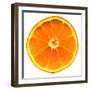 Half a Mandarin Orange-Steven Morris-Framed Premium Photographic Print