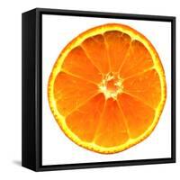 Half a Mandarin Orange-Steven Morris-Framed Stretched Canvas
