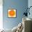 Half a Mandarin Orange-Steven Morris-Framed Stretched Canvas displayed on a wall