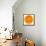 Half a Mandarin Orange-Steven Morris-Framed Stretched Canvas displayed on a wall