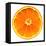 Half a Mandarin Orange-Steven Morris-Framed Stretched Canvas