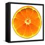 Half a Mandarin Orange-Steven Morris-Framed Stretched Canvas