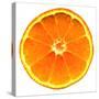 Half a Mandarin Orange-Steven Morris-Stretched Canvas