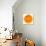 Half a Mandarin Orange-Steven Morris-Photographic Print displayed on a wall