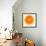 Half a Mandarin Orange-Steven Morris-Framed Photographic Print displayed on a wall