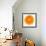 Half a Mandarin Orange-Steven Morris-Framed Photographic Print displayed on a wall