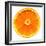 Half a Mandarin Orange-Steven Morris-Framed Photographic Print