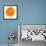 Half a Mandarin Orange-Steven Morris-Framed Photographic Print displayed on a wall