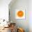 Half a Mandarin Orange-Steven Morris-Framed Photographic Print displayed on a wall