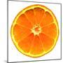 Half a Mandarin Orange-Steven Morris-Mounted Photographic Print
