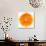 Half a Mandarin Orange-Steven Morris-Photographic Print displayed on a wall
