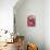 Half a Pomegranate-Frank Tschakert-Stretched Canvas displayed on a wall