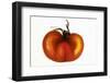 Half a Tomato, Backlit-Foodcollection-Framed Photographic Print