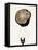 Half a Truffle on a Meat Fork-Marc O^ Finley-Framed Stretched Canvas