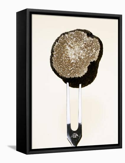 Half a Truffle on a Meat Fork-Marc O^ Finley-Framed Stretched Canvas