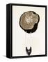 Half a Truffle on a Meat Fork-Marc O^ Finley-Framed Stretched Canvas