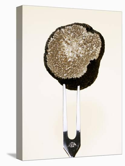 Half a Truffle on a Meat Fork-Marc O^ Finley-Stretched Canvas