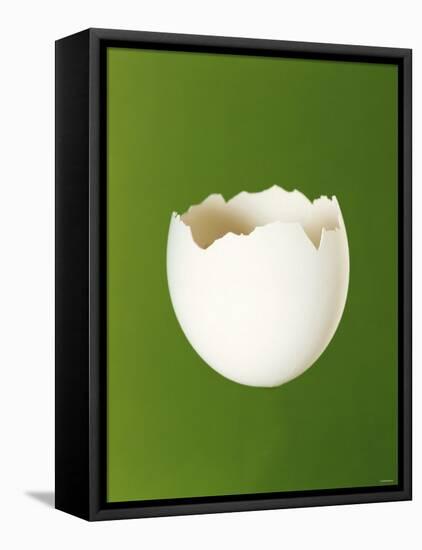 Half a White Egg Shell-Bodo A^ Schieren-Framed Stretched Canvas