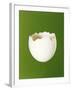 Half a White Egg Shell-Bodo A^ Schieren-Framed Photographic Print