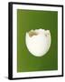 Half a White Egg Shell-Bodo A^ Schieren-Framed Photographic Print