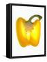 Half a Yellow Pepper-Nick Halsey-Framed Stretched Canvas