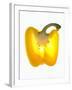 Half a Yellow Pepper-Nick Halsey-Framed Photographic Print