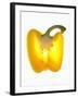 Half a Yellow Pepper-Nick Halsey-Framed Photographic Print