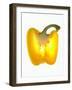 Half a Yellow Pepper-Nick Halsey-Framed Photographic Print