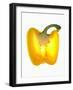 Half a Yellow Pepper-Nick Halsey-Framed Photographic Print