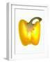 Half a Yellow Pepper-Nick Halsey-Framed Photographic Print