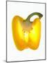 Half a Yellow Pepper-Nick Halsey-Mounted Photographic Print