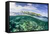 Half Above and Half Below on a Remote Small Islet in the Badas Island Group Off Borneo, Indonesia-Michael Nolan-Framed Stretched Canvas