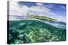 Half Above and Half Below on a Remote Small Islet in the Badas Island Group Off Borneo, Indonesia-Michael Nolan-Stretched Canvas